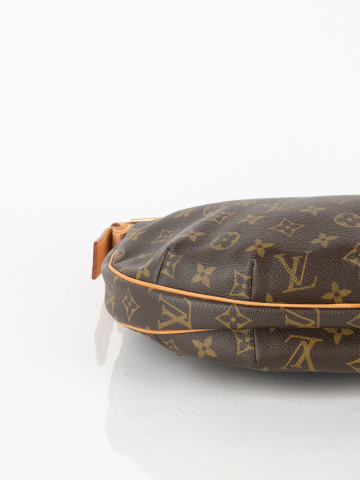 Louis Vuitton Handbags