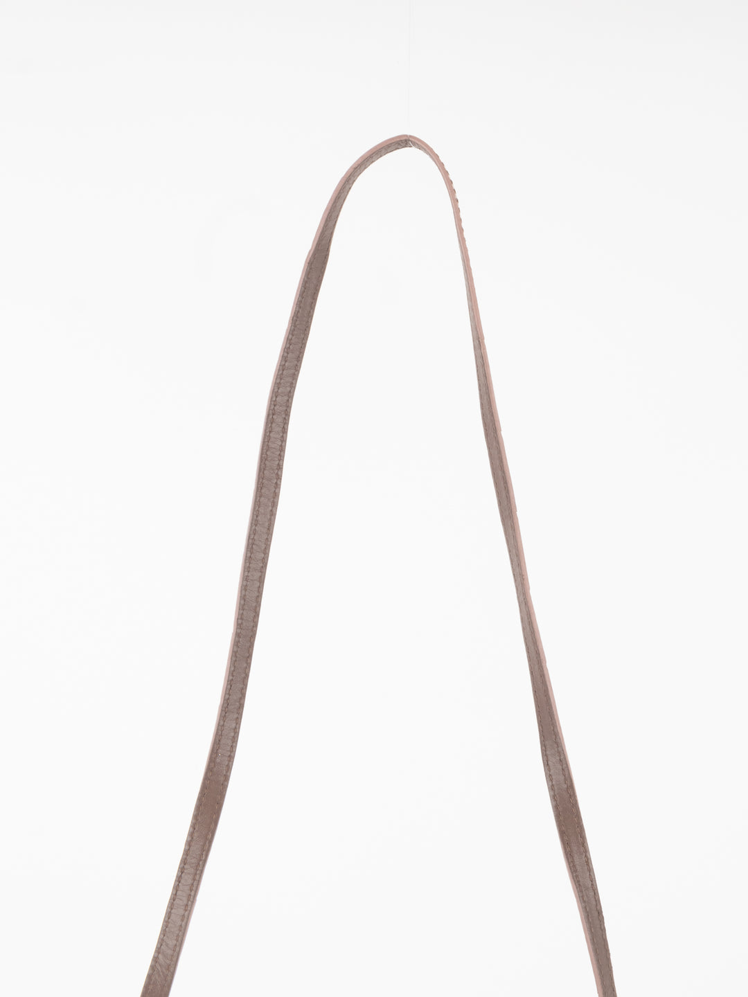 Brown Crocodile Crossbody Bag