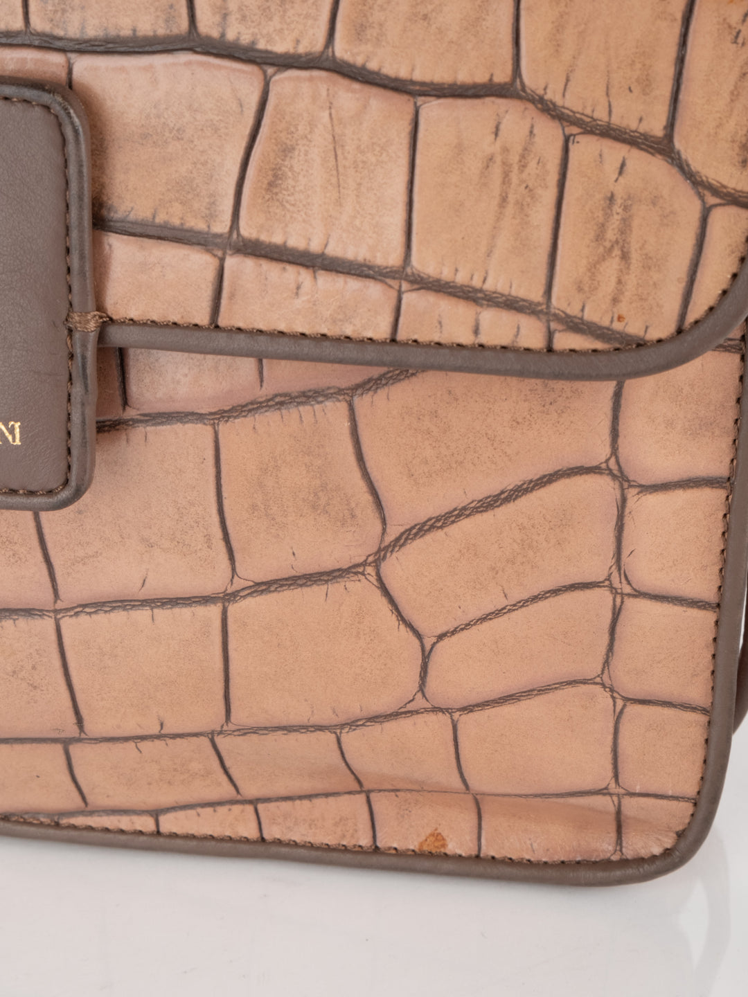 Brown Crocodile Crossbody Bag