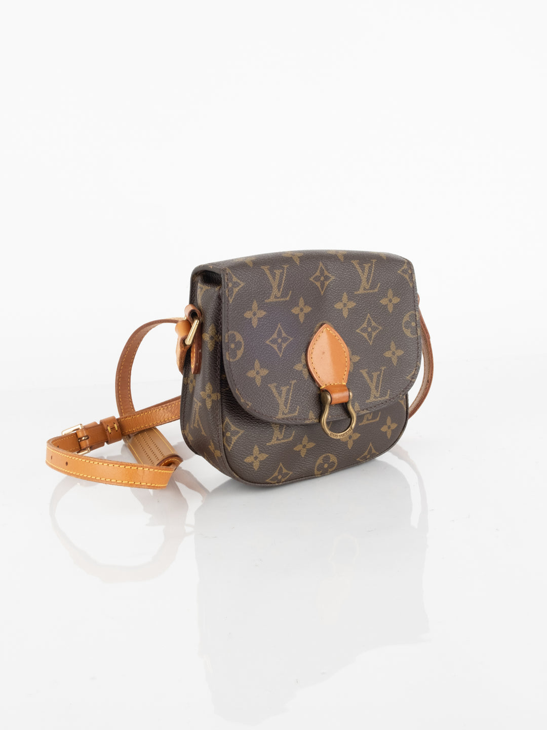 Louis Vuitton Handbags